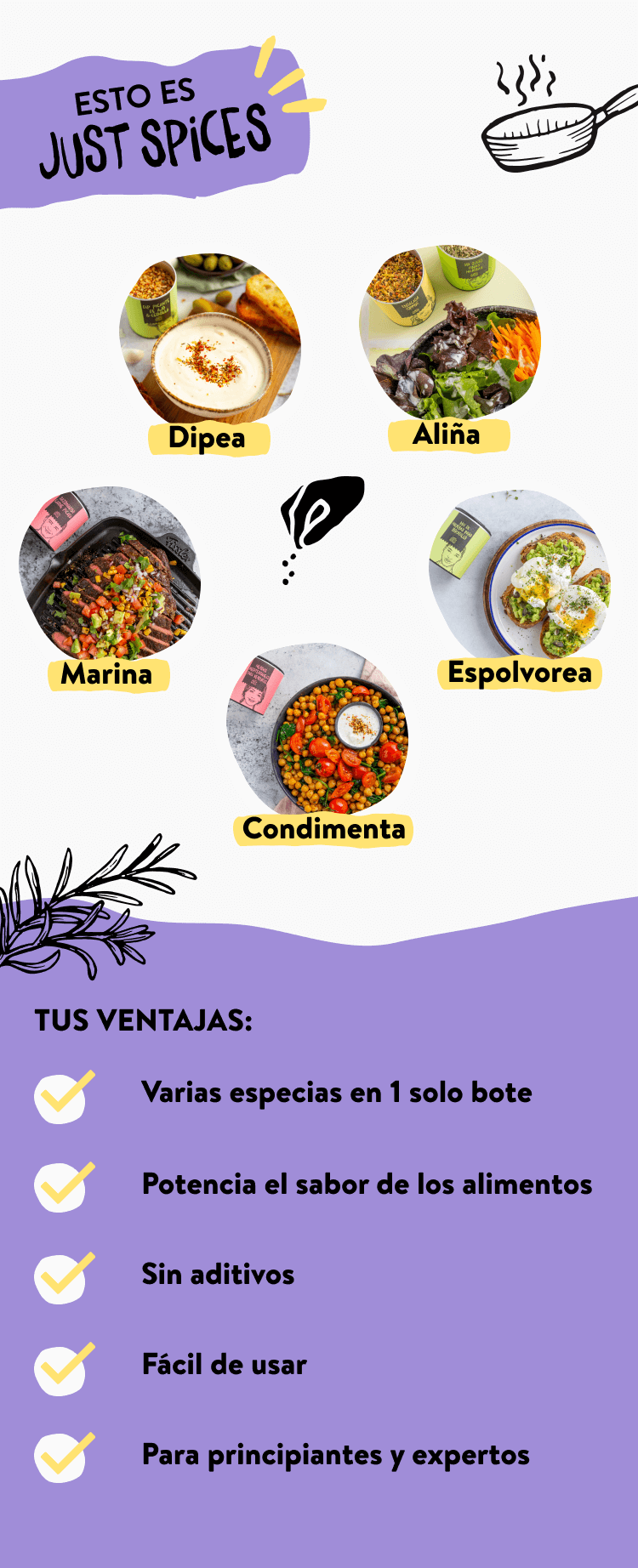 Contenido educativo